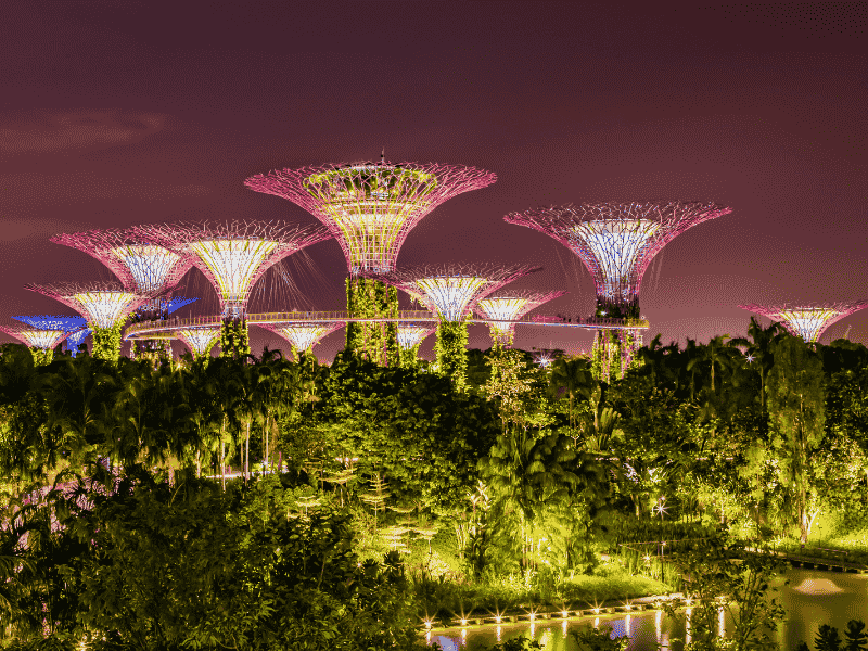 The Ultimate Singapore C...