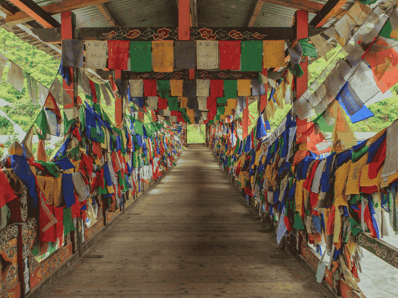 Bhutan The Land Of The T...