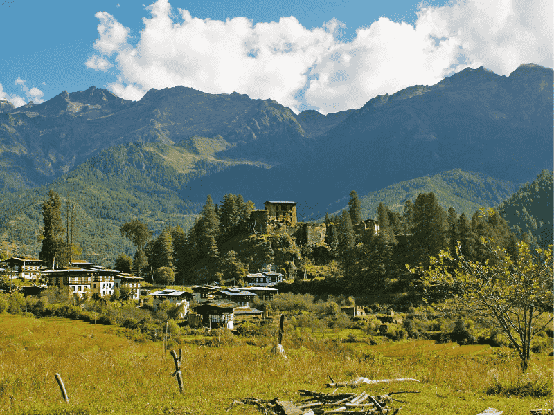 Bhutans Golden Druk Path