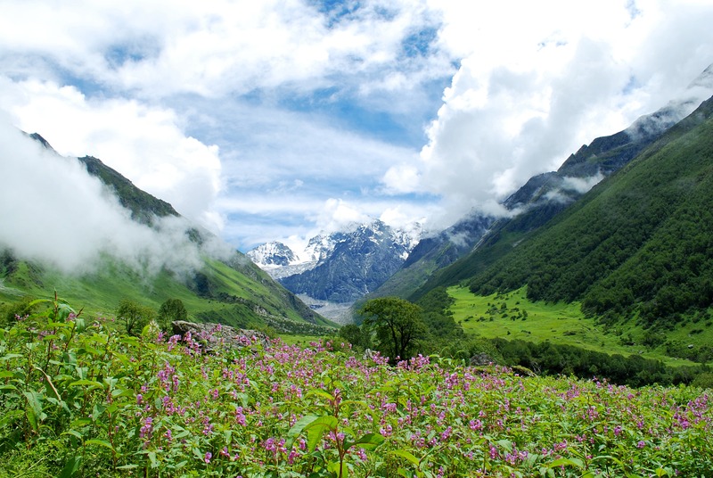 Darjeeling Dreamscape De...