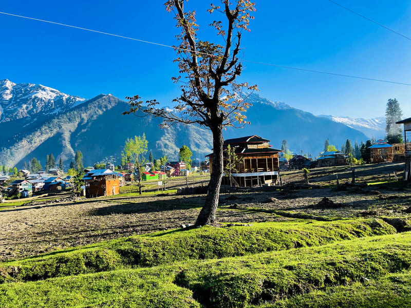 Darjeeling Eco Escape