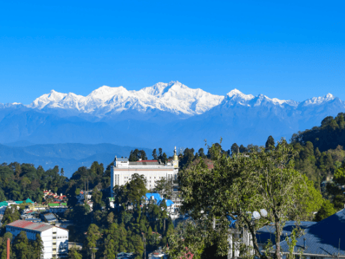 Darjeeling Haze and Hill...
