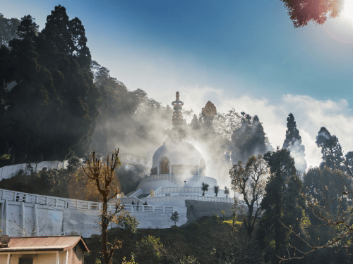 Darjeeling Nature Canvas