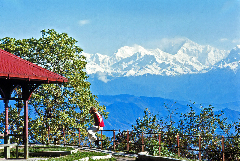 Darjeeling Pure Bliss