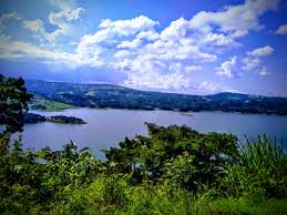 Misty Meghalaya