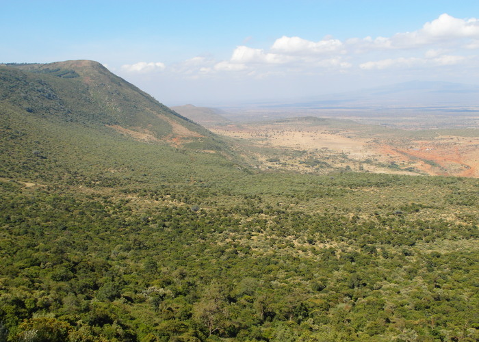 Land of Giants Kenya 