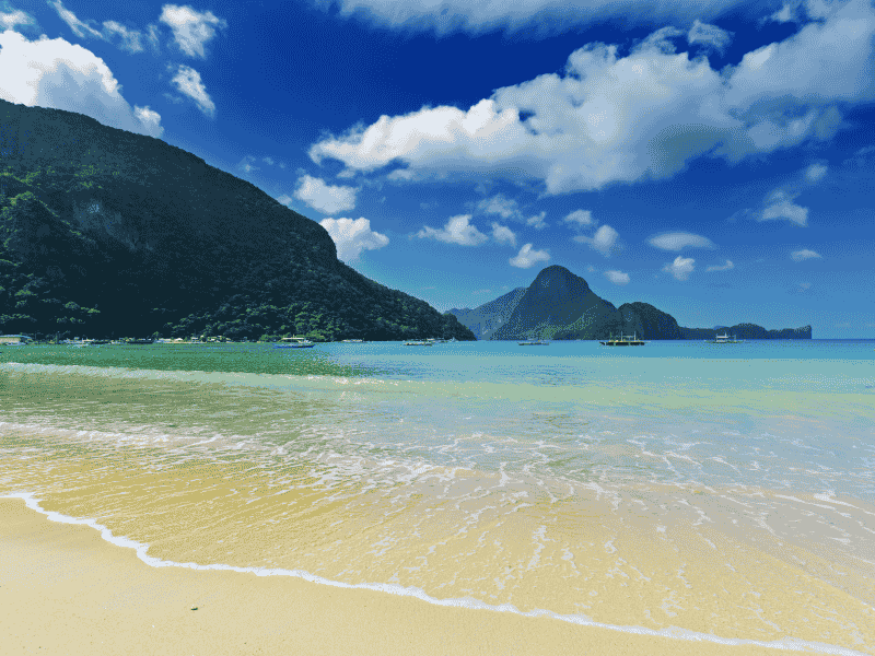 Philippines Island Bloom