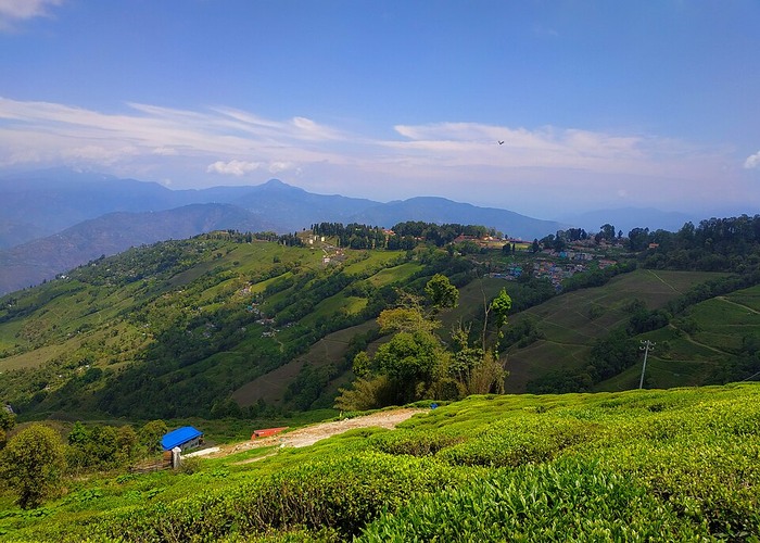 Serene Slopes Darjeeling...