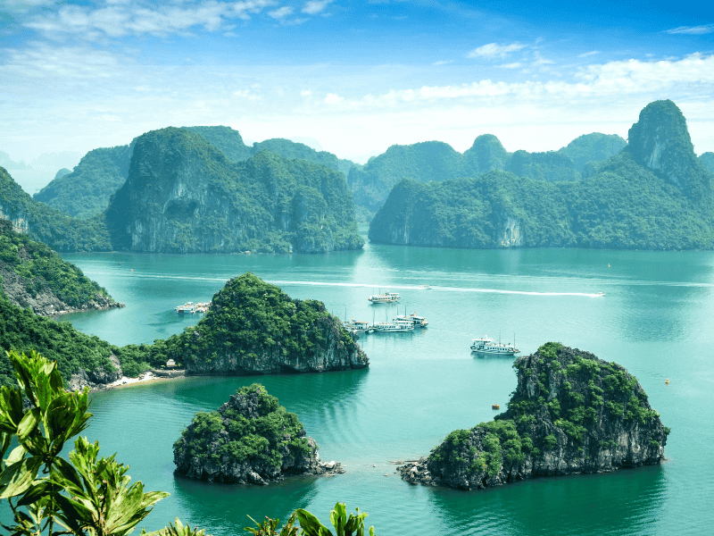 Regal Vietnam Sojourn