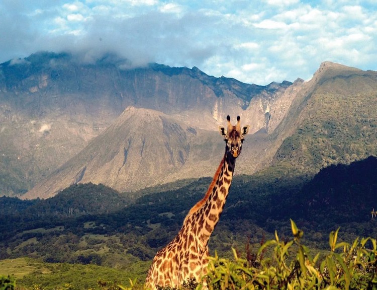 The Soul of Tanzania