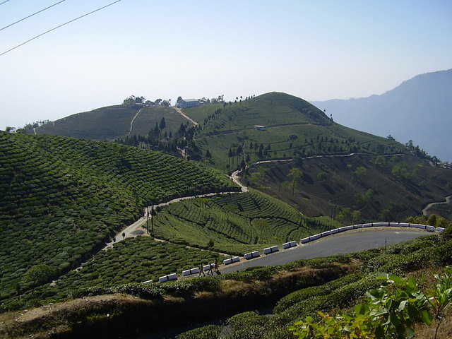 Tranquil Terraces of Kal...