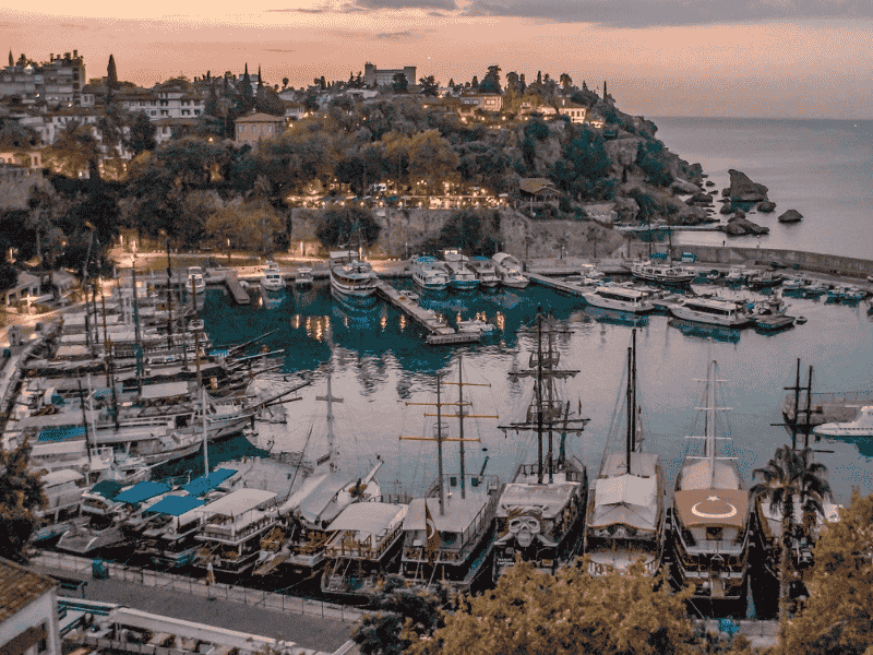 Turkey Tales