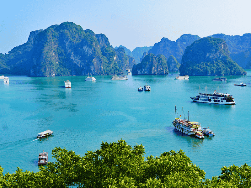 Vibrant Vietnam