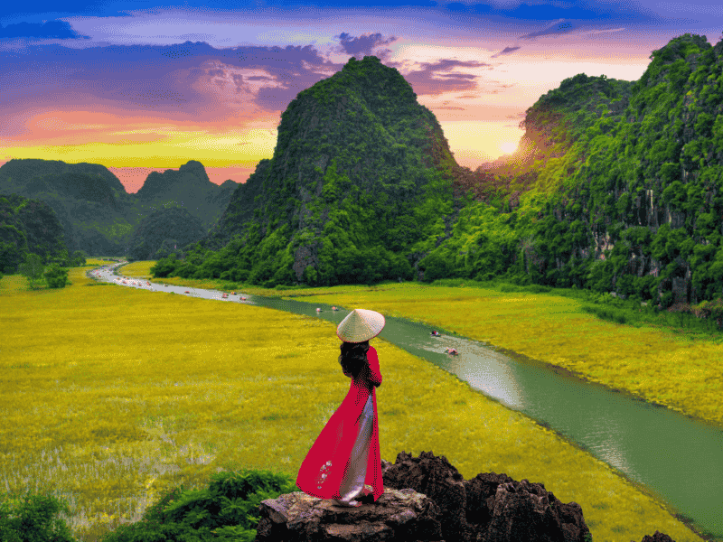Legacy Of Vietnam