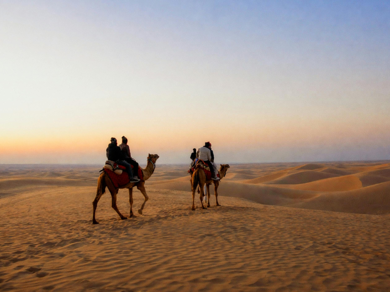 Desert Delight 4 Nights 5 Days