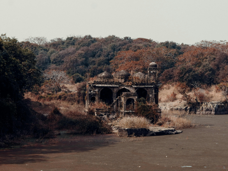 Fort & Forest 4 nights 5...