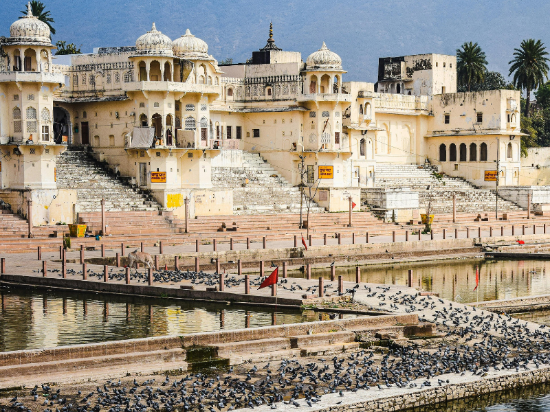 Pulse Of Rajasthan 5 Nig...