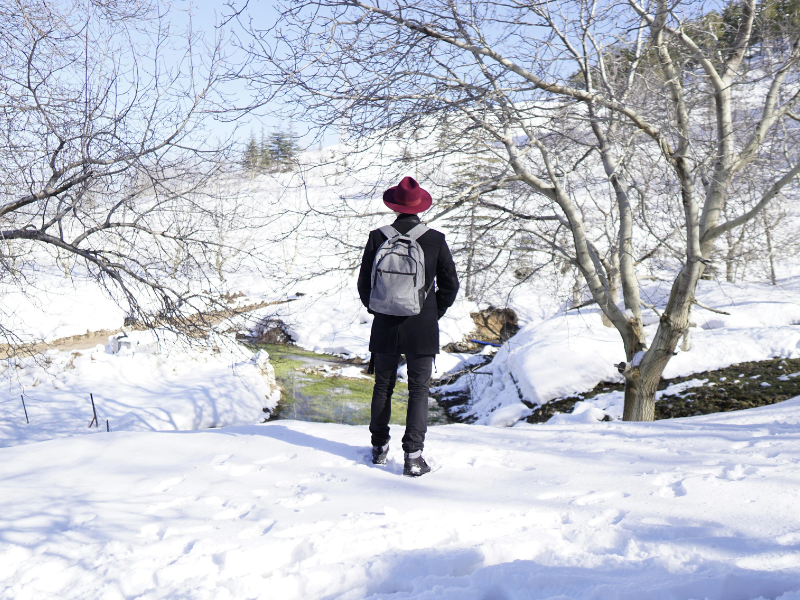 SHIMLA, MANALI, DHARAMSH...