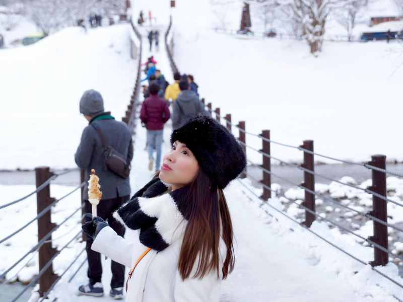 SHIMLA, MANALI, DHARAMSH...