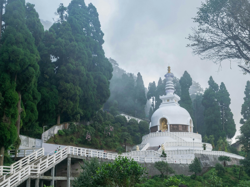 SIKKIM DARJEELING –PRO...