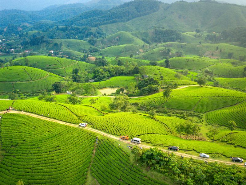 Sri Lanka 3 Nights 4 Days