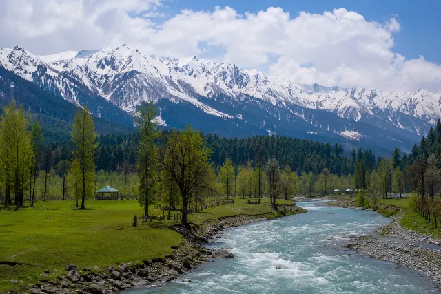 kashmir 5N6D