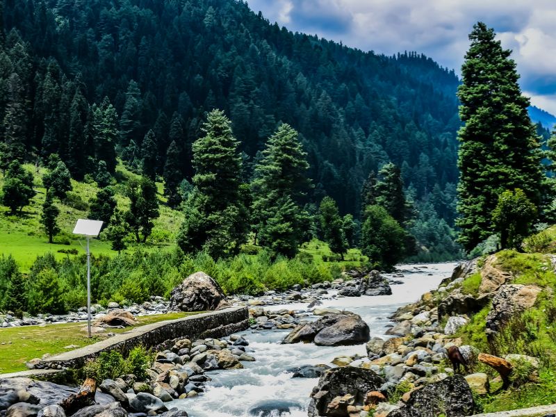 KASHMIR HEAVEN ON EARTH ...