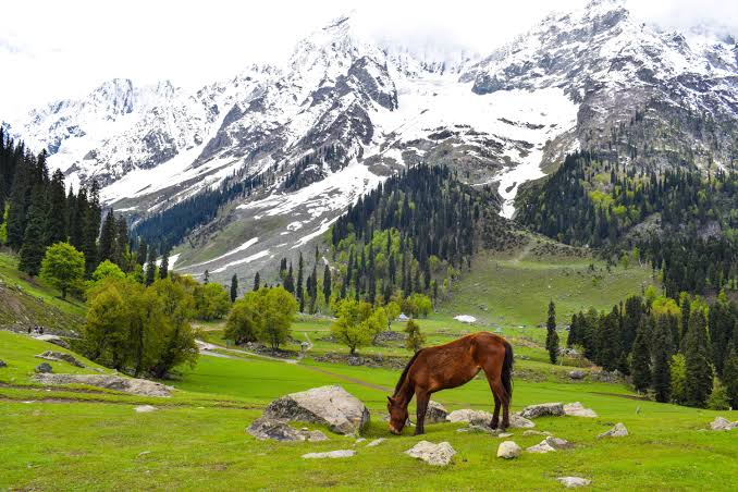 LET US EXPLORE KASHMIR