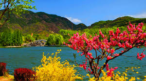NATURE IS CALLING KASHMIR