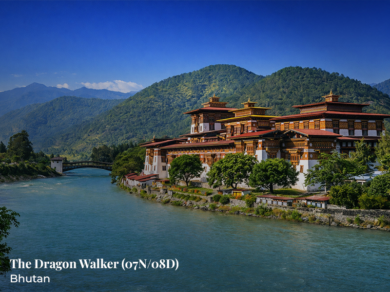 SC-BHU 05: The Dragon Walker