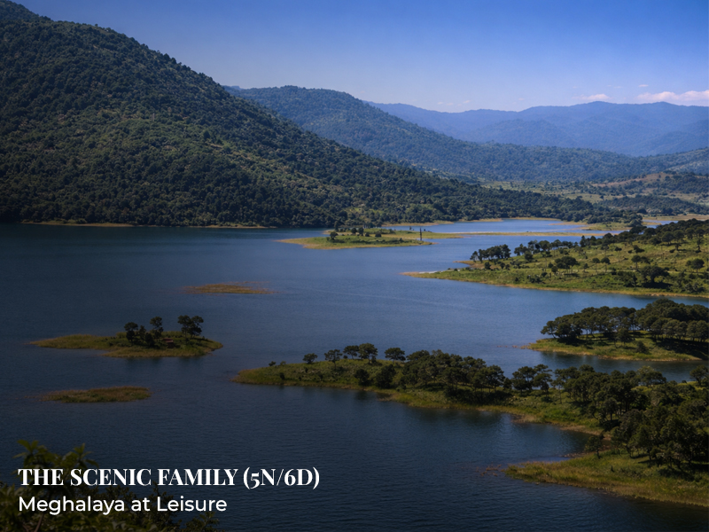 SC-NE 16: The Scenic Fam...