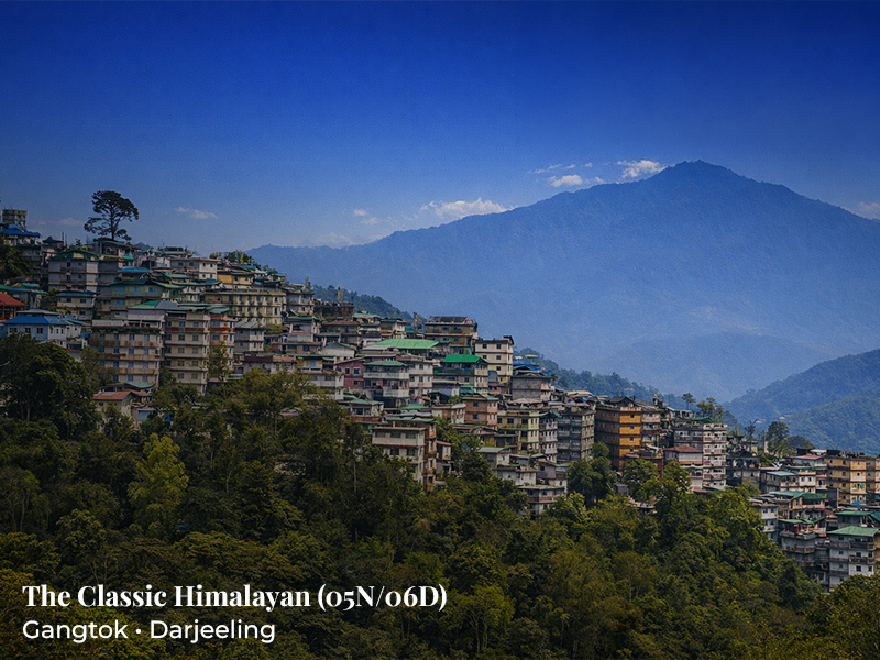 SC-SD 10: The Classic Hi...