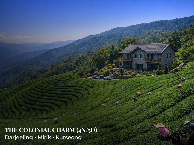 SC-SD 11: The Colonial Charm