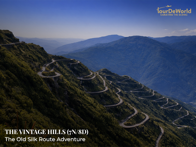 SC-SD 13: The Vintage Hi...