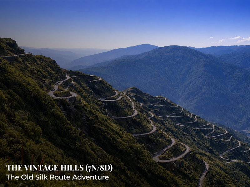 SC-SD 13: The Vintage Hills