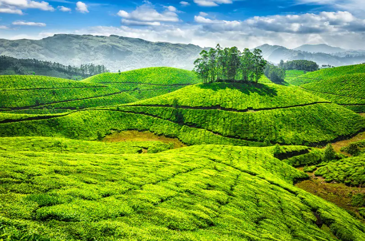 Ooty to Bangalore A Dreamy Escape
