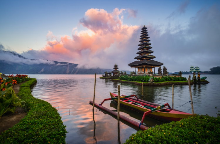 The Bali Experience