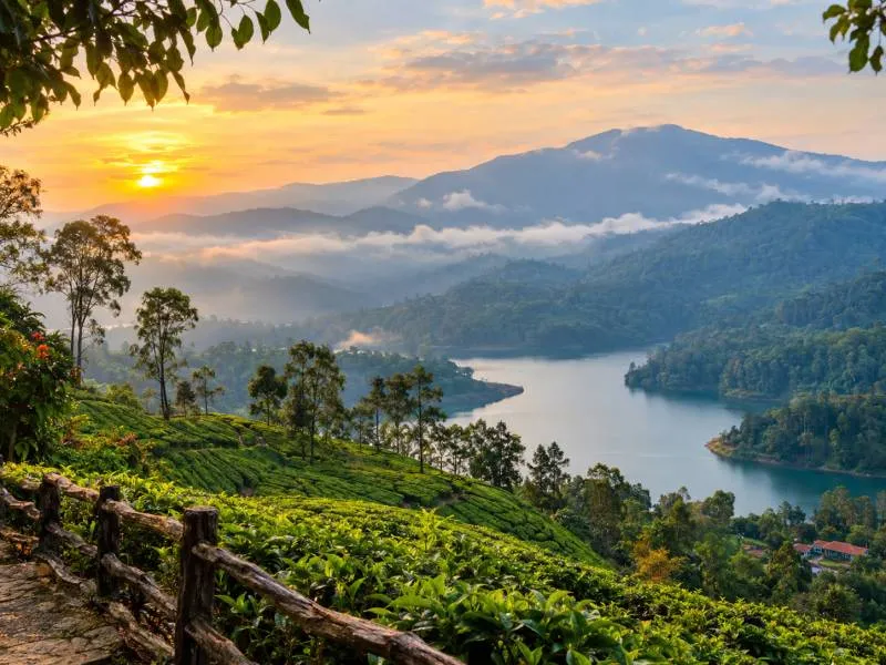 Emerald Trails & Misty Horizons