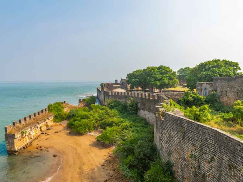 Gujarat Pilgrimage & Wildlife Tour