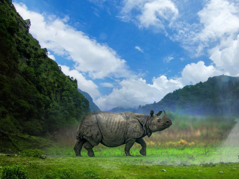 Serenity of the Northeas...