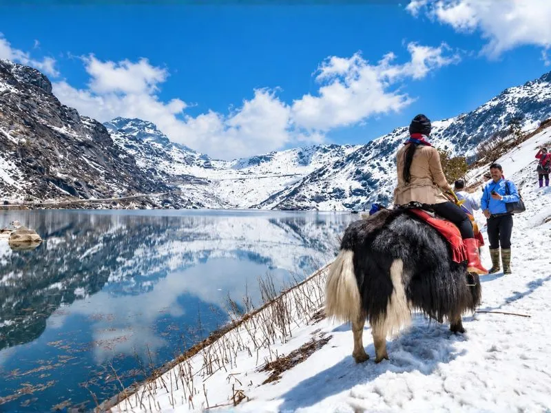 TM Enchanting Himalayas