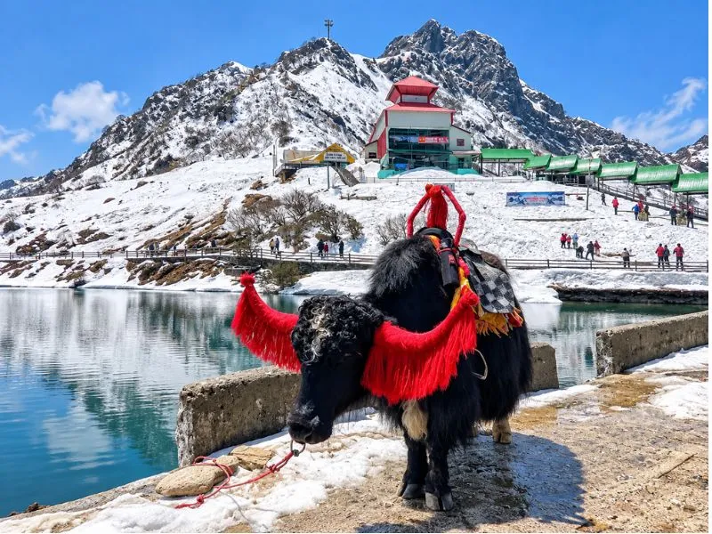 TM Himalayan Odyssey