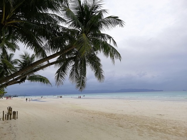 Boracay Tropical Escape
