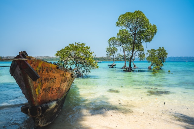 Amazing Andaman