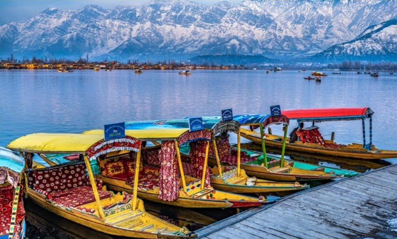 Amazing Kashmir