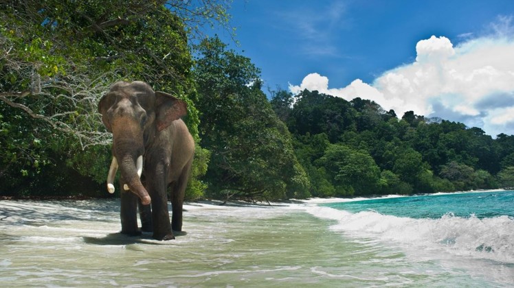 Best of Andaman 
