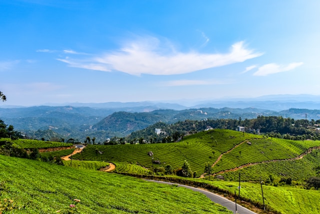 Best of Kerala 