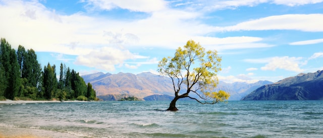 Best of New Zealand