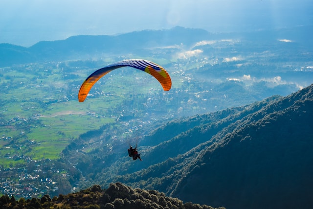 Himachal Delight