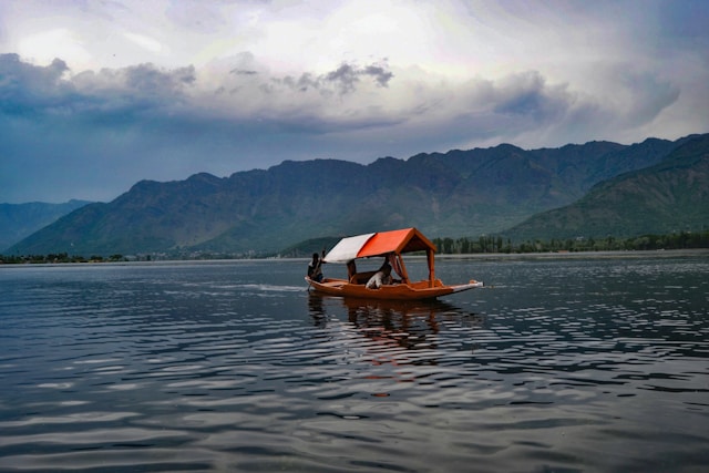 Kashmir Delight
